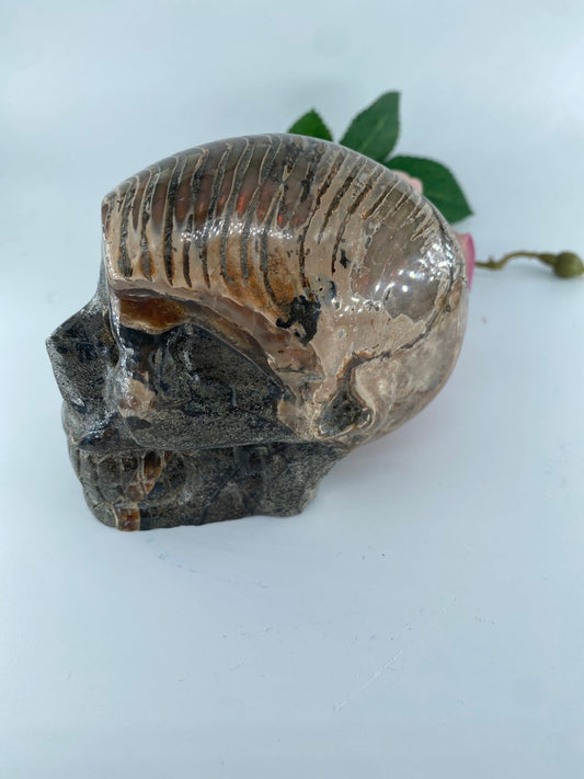 Polished Ammonite Opalised Nautilus Fossil Skull Carving 853g - Positive Faith Hope Love