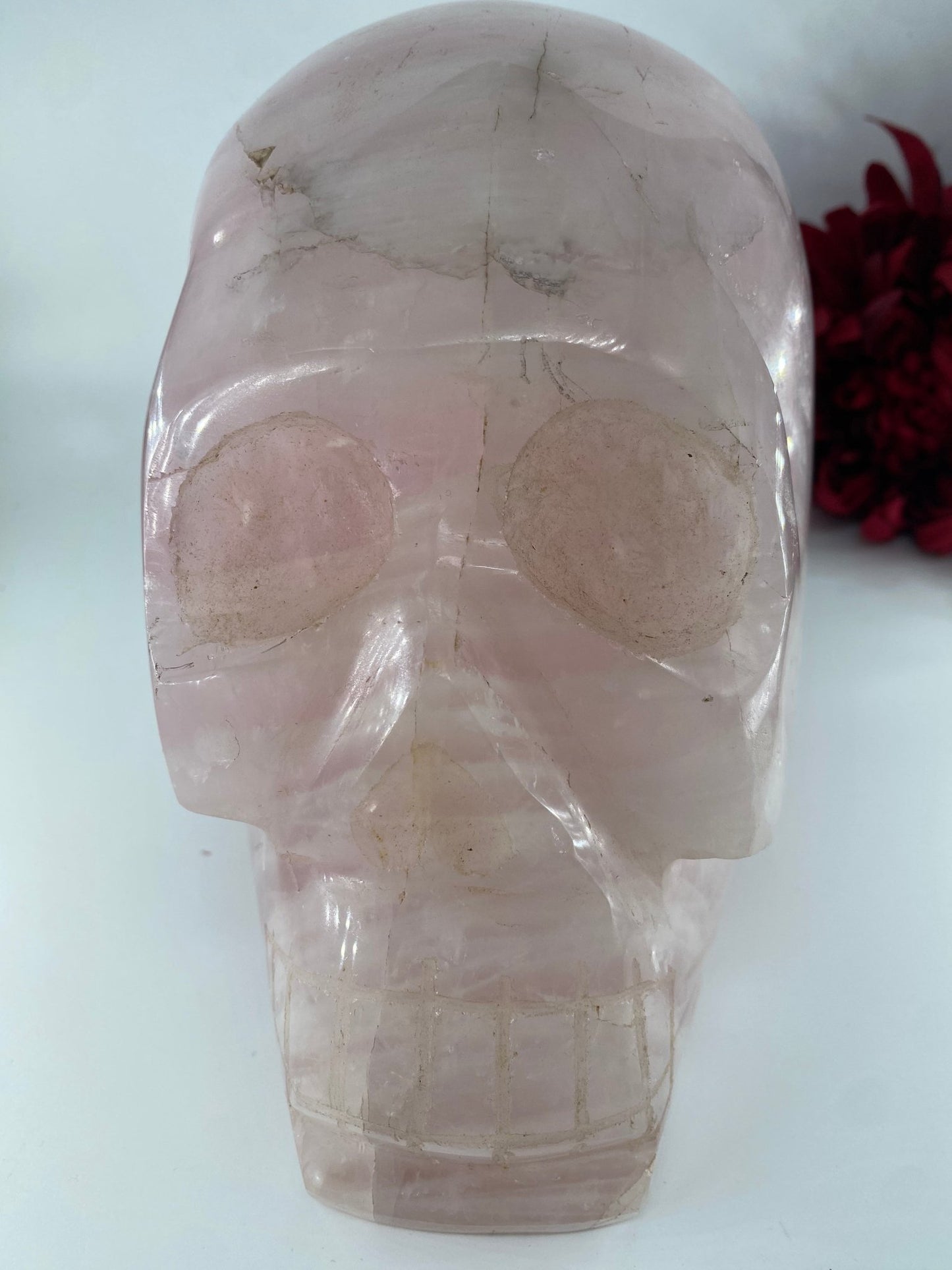 Polished XXXL Rose Quartz Skull featuring soft pink tone and gentle translucence - Positive Faith Hope Love