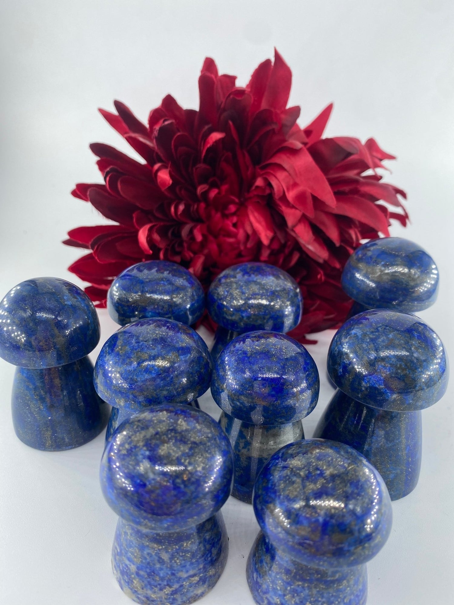 Lapis Lazuli Mushrooms