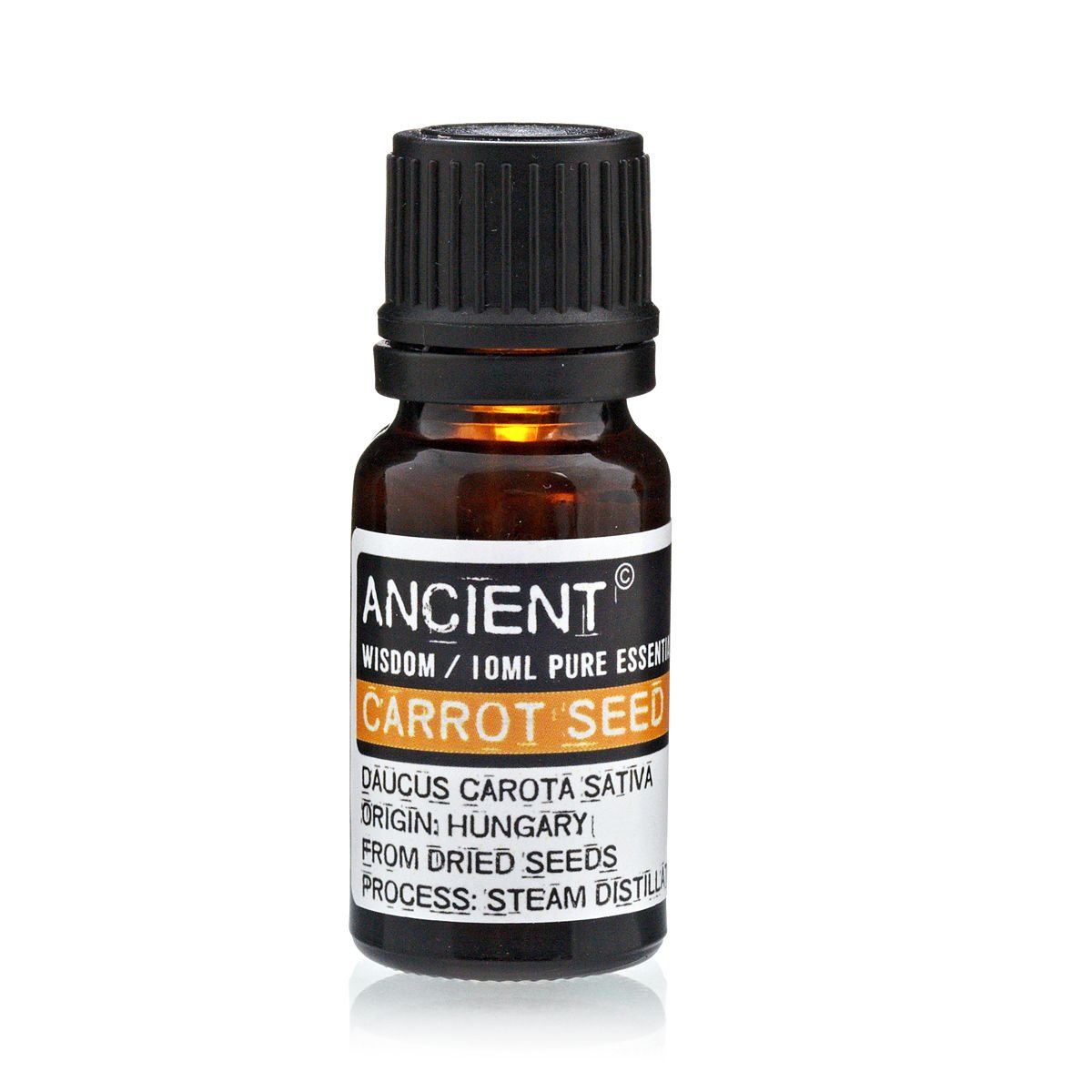 Polished 10 ml Carrot Seed Essential Oil featuring natural patterning and unique variations - Positive Faith Hope Love