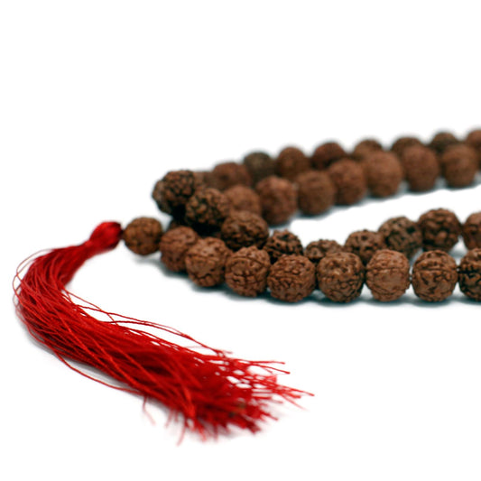 Polished 108 Rudraksha Mala Brown featuring natural patterning and unique variations - Positive Faith Hope Love