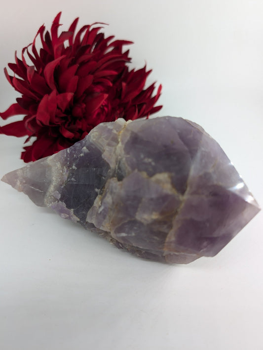 Amethyst Dragon Tooth 719g - Positive Faith Hope Love