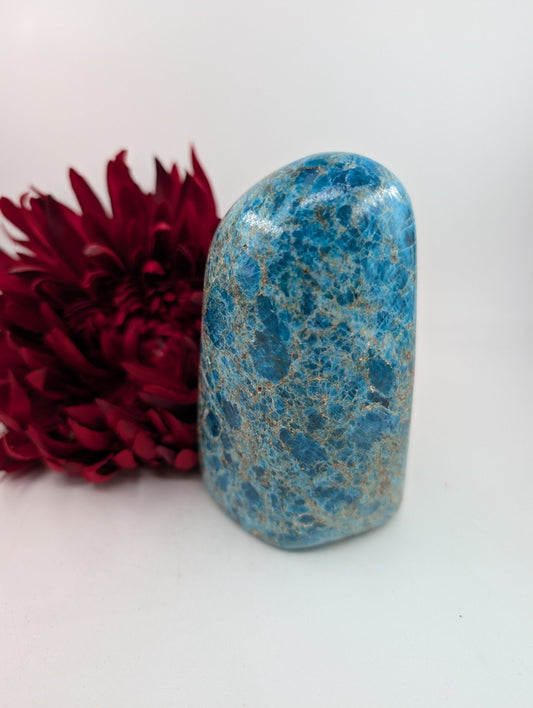 Polished Apatite Freeform 1247 featuring teal-blue tone and crystalline depth - Positive Faith Hope Love