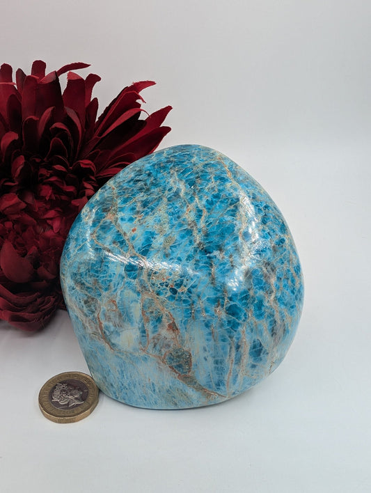 Polished Apatite Freeform 835G featuring teal-blue tone and crystalline depth - Positive Faith Hope Love