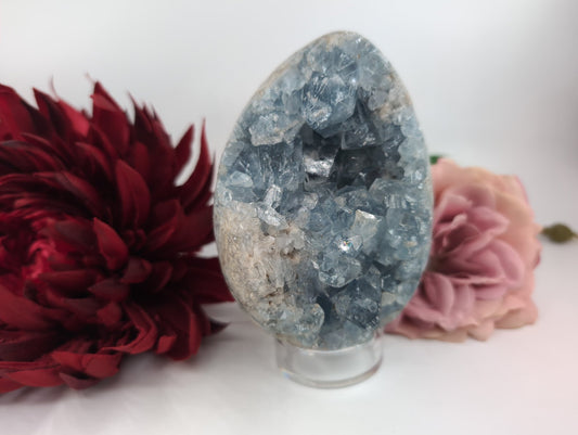 Celestite Crystal Egg 1100g - Positive Faith Hope Love