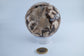 Chocolate Calcite Druzy Sphere 588 grams - Positive Faith Hope Love