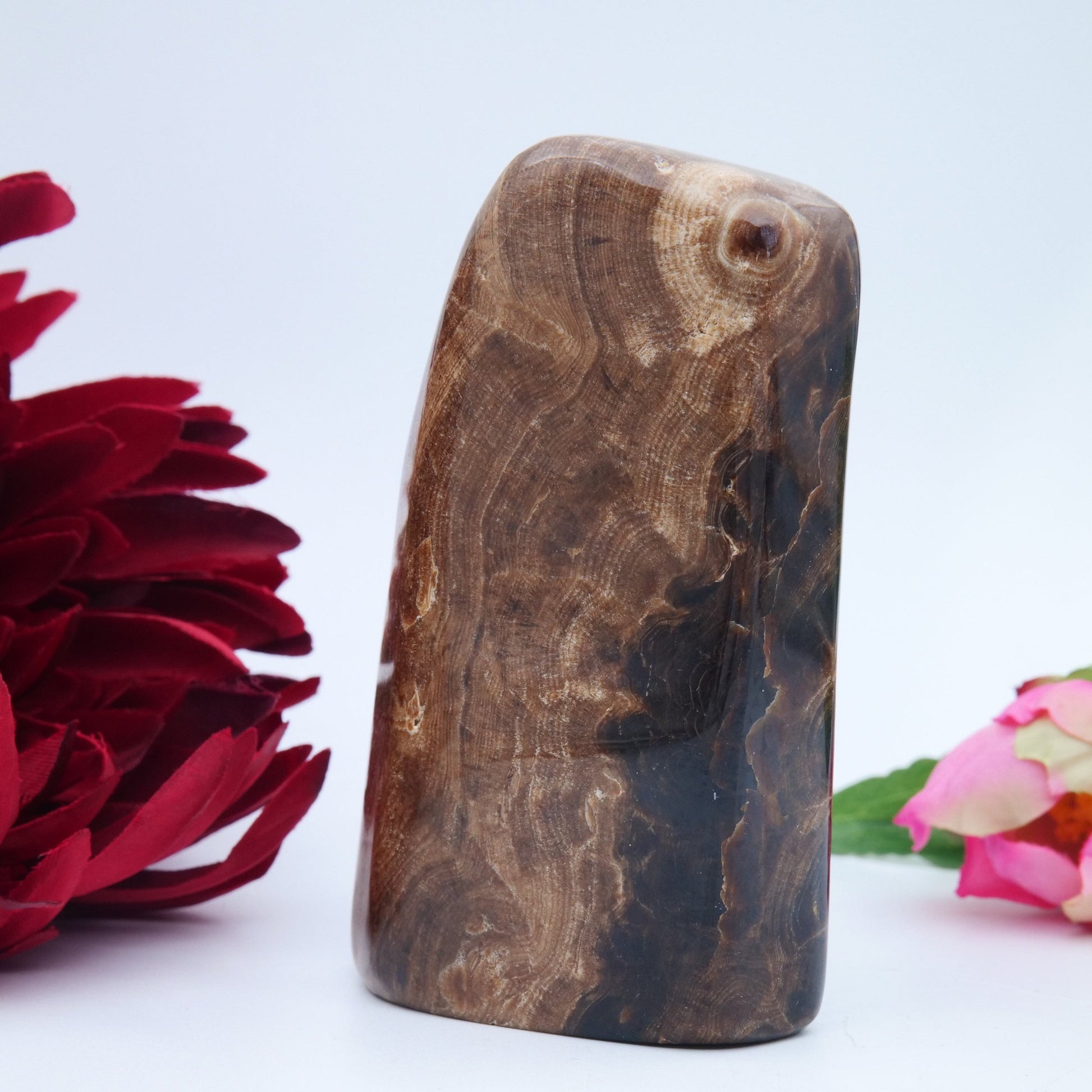 Chocolate Calcite Freeform — 508 g (103 mm) - Positive Faith Hope Love