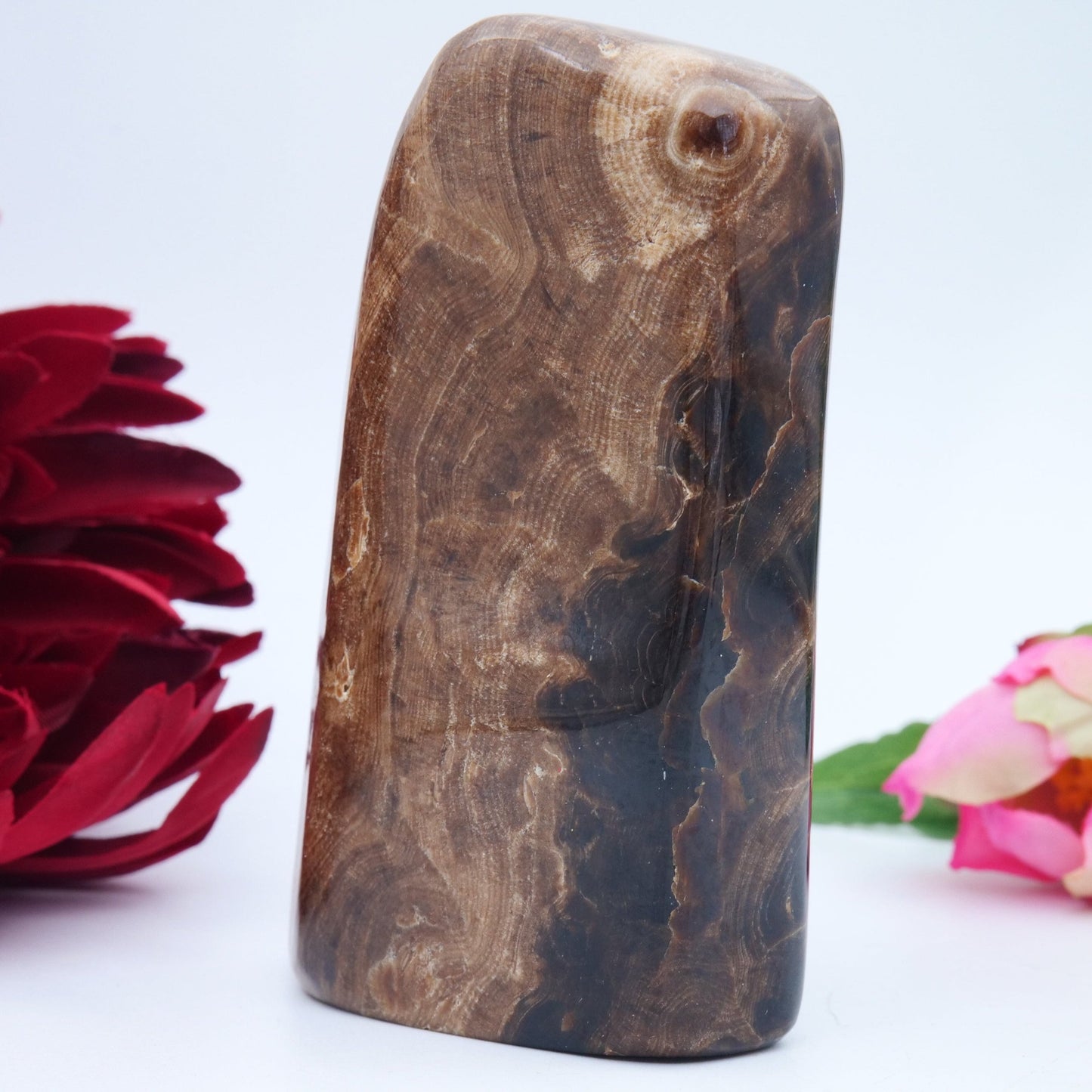 Chocolate Calcite Freeform — 508 g (103 mm) - Positive Faith Hope Love