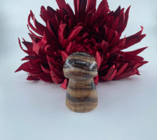 Chocolate Calcite Mushroom 95grams - Positive Faith Hope Love