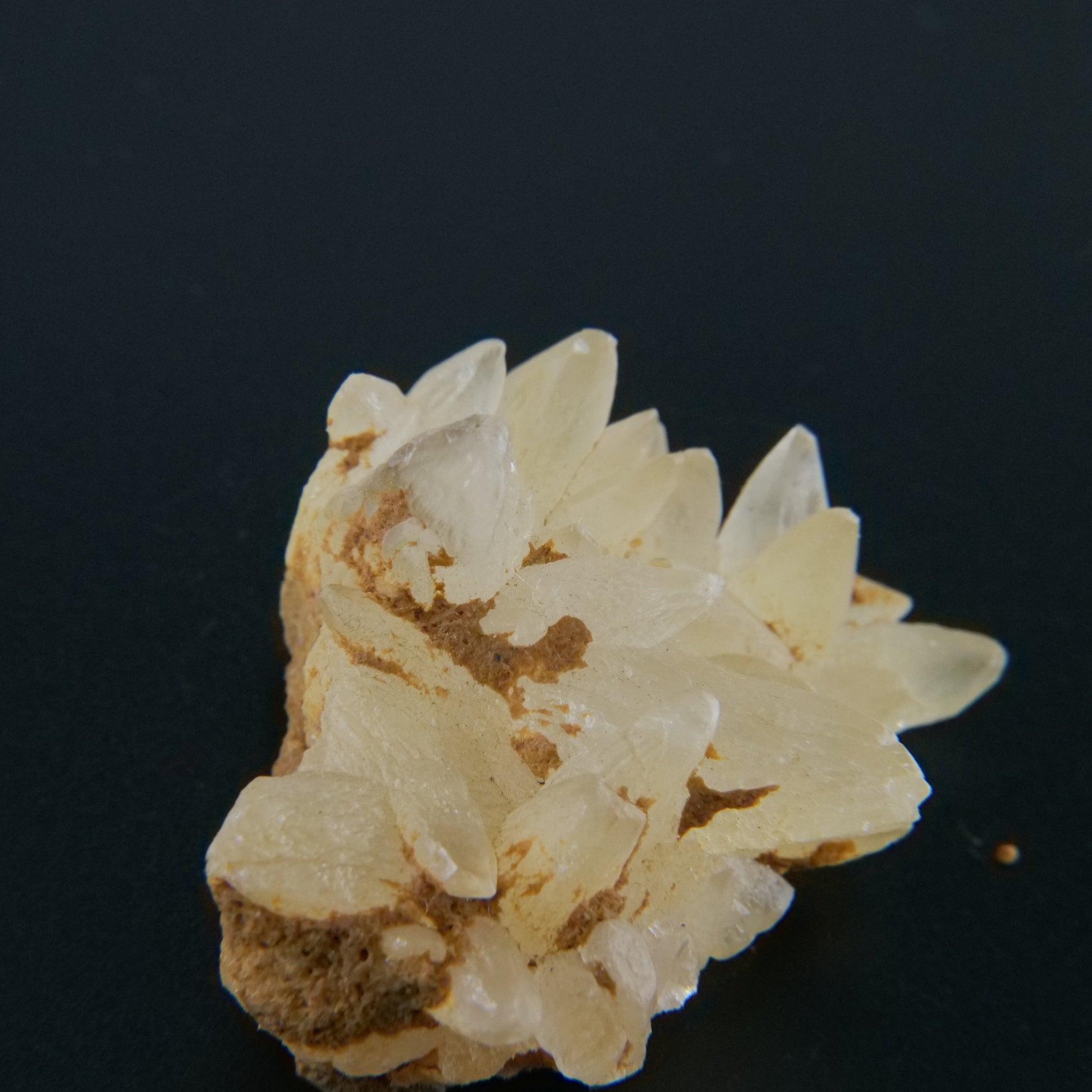 Dogtooth Calcite Specimen — 170g (Pakistan) - Positive Faith Hope Love