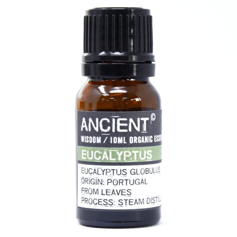 Eucalyptus Organic Essential Oil 10ml - Positive Faith Hope Love