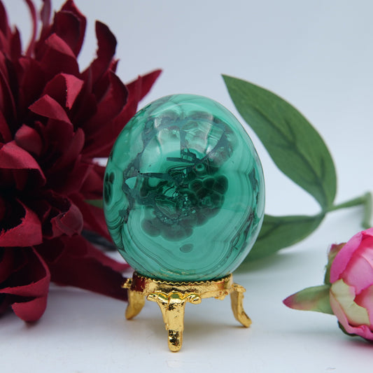Polished Flower Malachite Egg 285G featuring banded green patterning and silky polish - Positive Faith Hope Love