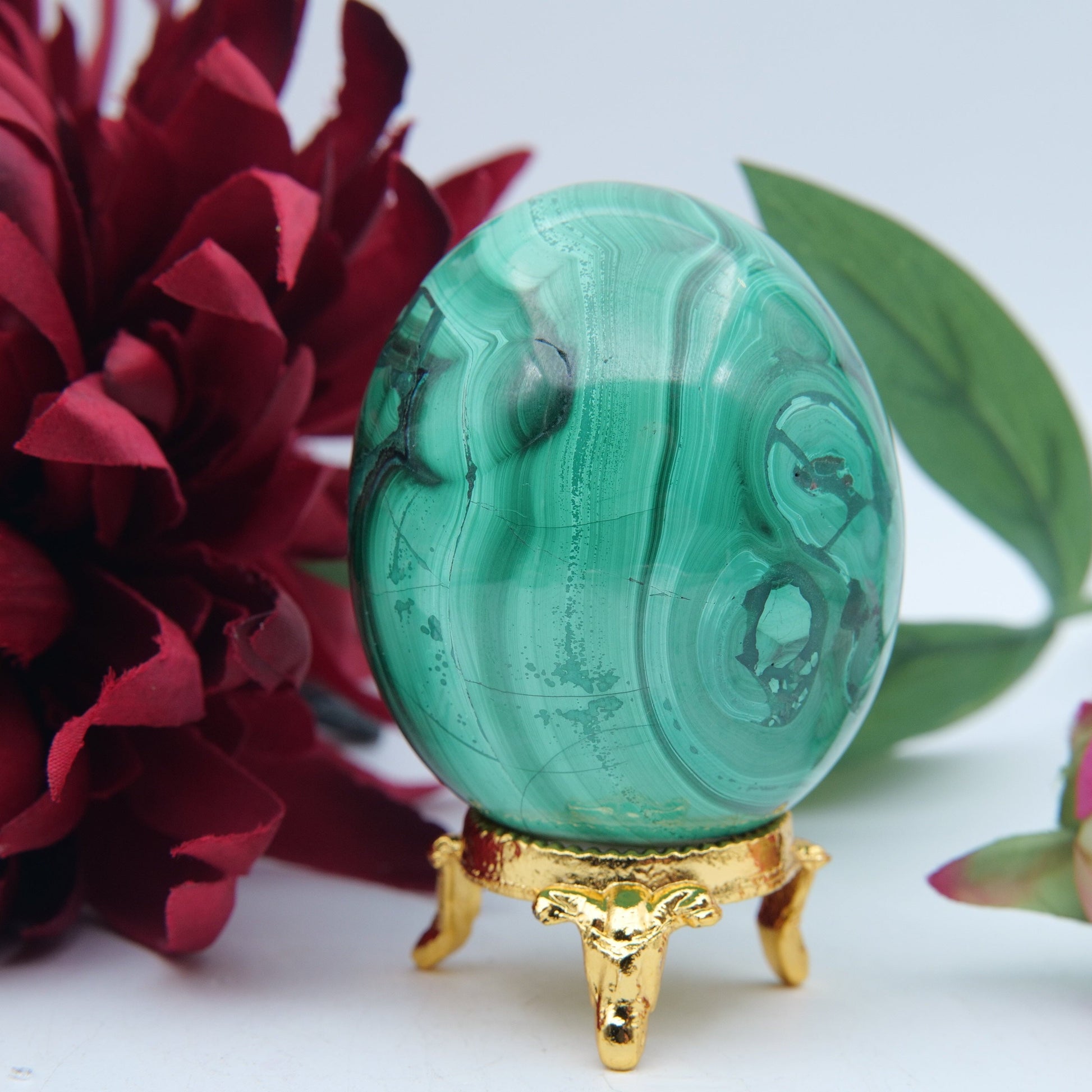Polished Flower Malachite Egg 354G featuring banded green patterning and silky polish - Positive Faith Hope Love