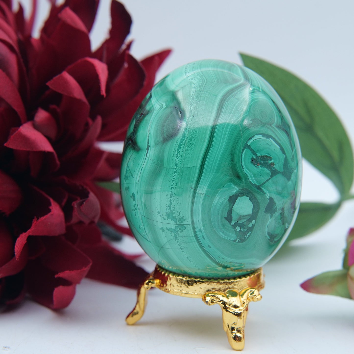 Polished Flower Malachite Egg 354g featuring banded green patterning and silky polish - Positive Faith Hope Love