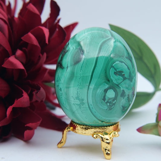 Polished Flower Malachite Egg 354g featuring banded green patterning and silky polish - Positive Faith Hope Love