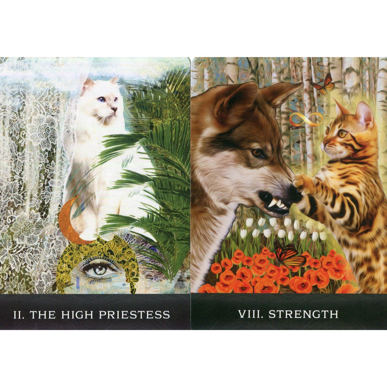 nan tarot deck product image