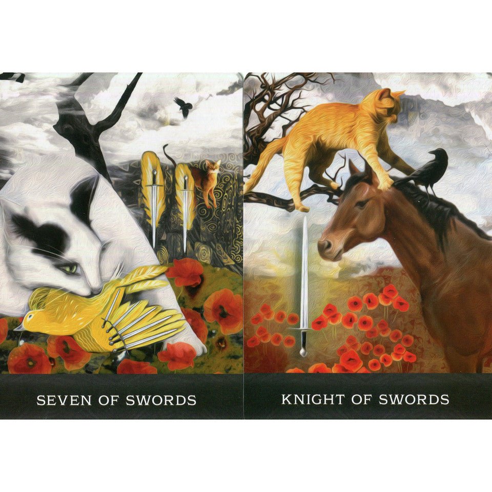 nan tarot deck product image