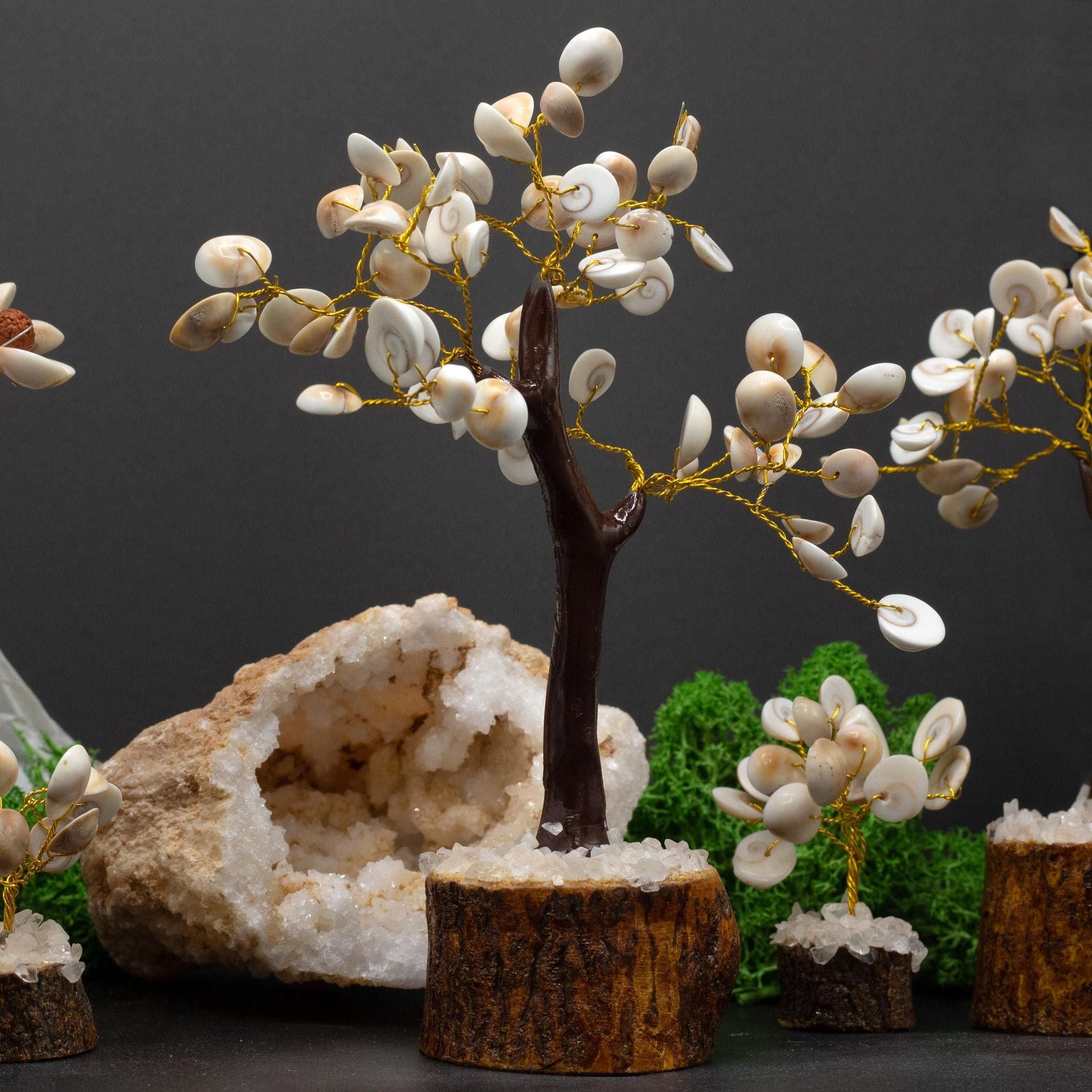 Polished Lrg Gomati Chakra Circle Stone Tree 60 Stones 1 featuring natural patterning and unique variations - Positive Faith Hope Love