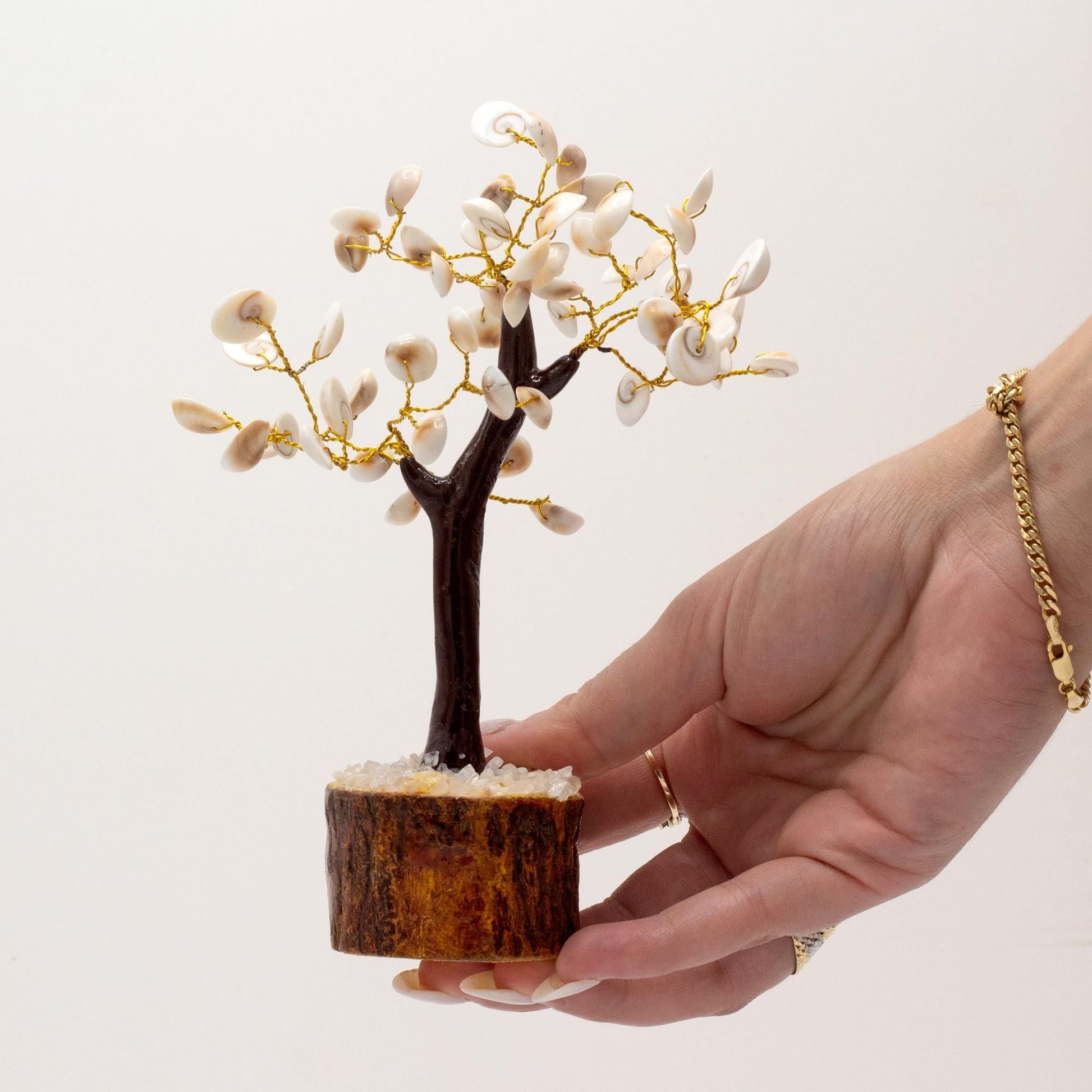 Polished Lrg Gomati Chakra Circle Stone Tree 60 Stones 1 featuring natural patterning and unique variations - Positive Faith Hope Love