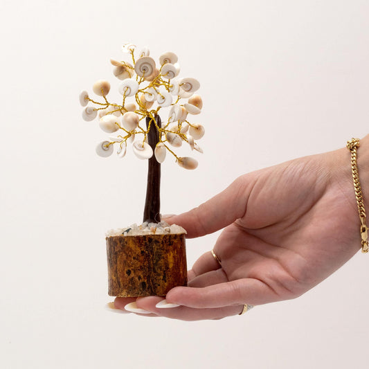 Polished Med Gomati Chakra Circle Stone Tree 45 Stones featuring natural patterning and unique variations - Positive Faith Hope Love