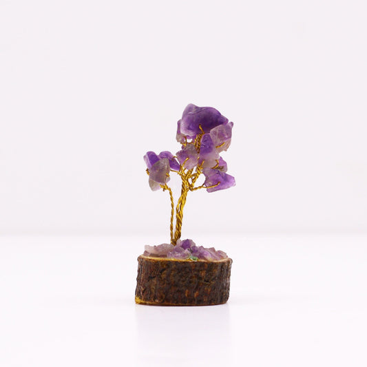 Polished Mini Gemstone Tree On Wood Base - Amethyst (15 stones) featuring rich purple colour and natural clarity - Positive Faith Hope Love