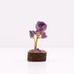 Polished Mini Gemstone Tree On Wood Base - Amethyst (15 stones) featuring rich purple colour and natural clarity - Positive Faith Hope Love