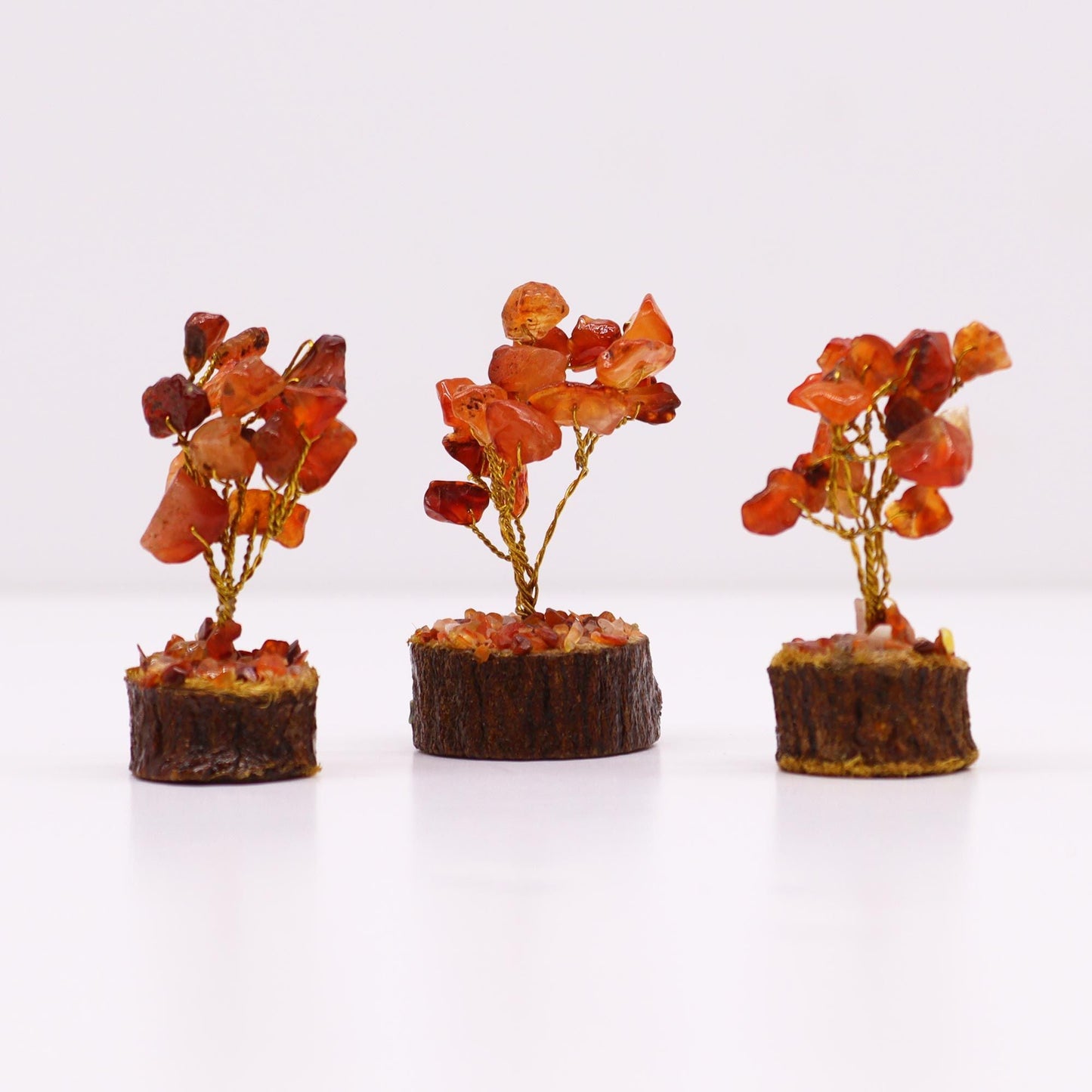 Polished Mini Gemstone Tree On Wood Base Carnelian 15 Stones featuring vibrant orange tone and smooth polish - Positive Faith Hope Love