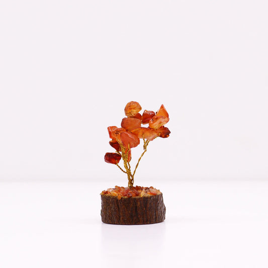 Polished Mini Gemstone Tree On Wood Base - Carnelian (15 stones) featuring vibrant orange tone and smooth polish - Positive Faith Hope Love