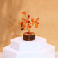 Polished Mini Gemstone Tree On Wood Base Carnelian 15 Stones featuring vibrant orange tone and smooth polish - Positive Faith Hope Love