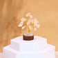 Polished Mini Gemstone Tree On Wood Base Rock Quartz 15 Stones 1 featuring natural patterning and unique variations - Positive Faith Hope Love