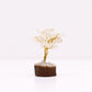 Polished Mini Gemstone Tree On Wood Base - Rock Quartz (15 stones) featuring natural patterning and unique variations - Positive Faith Hope Love