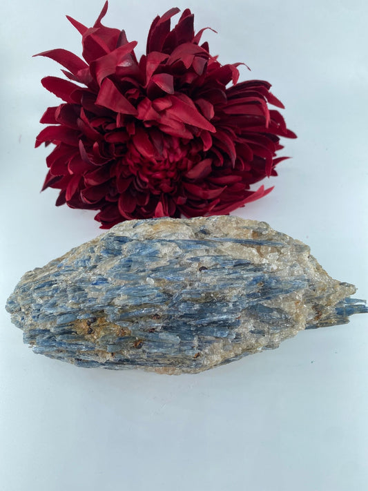 Natural Blue Kyanite in Schist Specimen 1184g - Positive Faith Hope Love