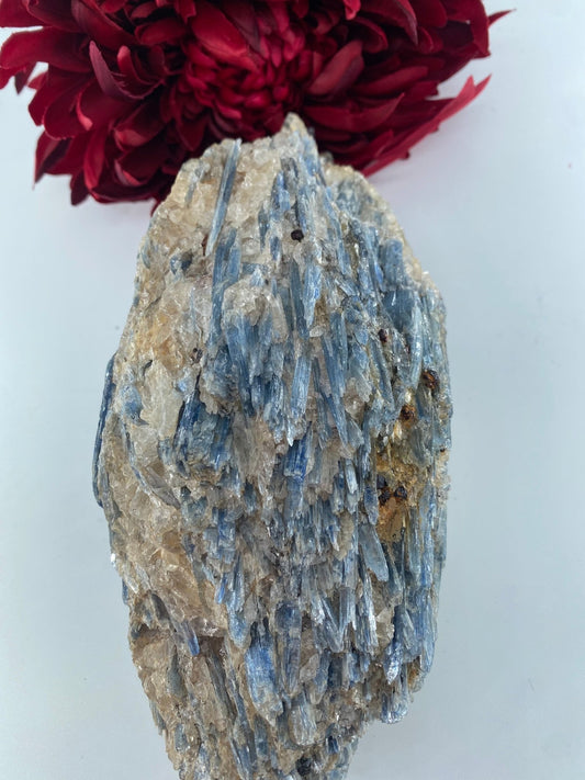 Natural Blue Kyanite in Schist Specimen 1184g - Positive Faith Hope Love