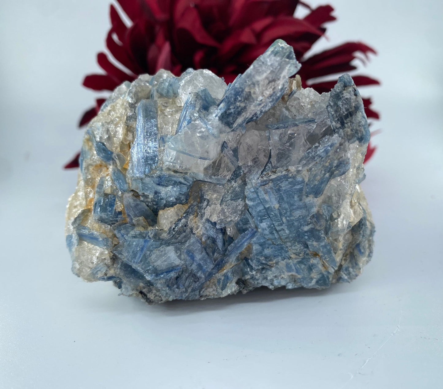 Natural Blue Kyanite in Schist Specimen 775g - Positive Faith Hope Love