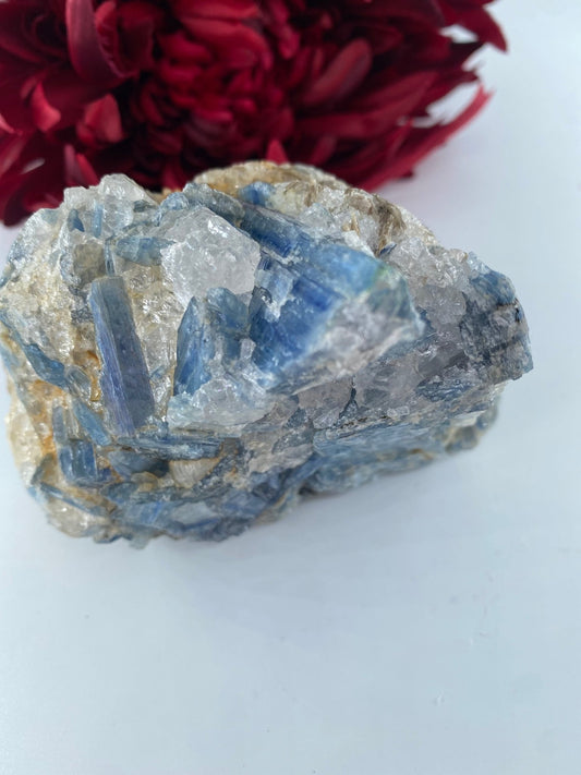 Natural Blue Kyanite in Schist Specimen 775g - Positive Faith Hope Love