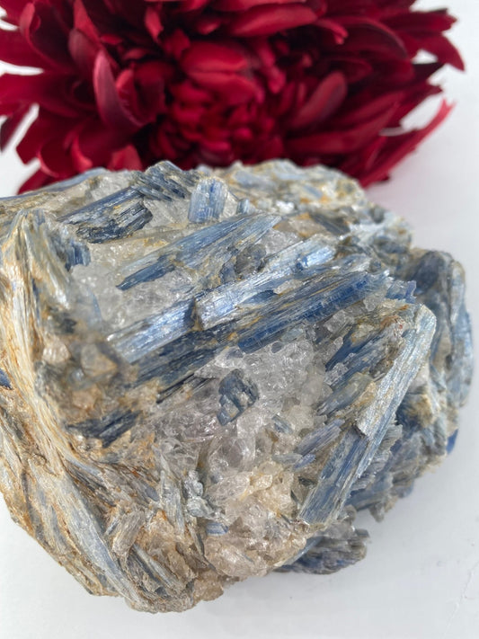 Natural Blue Kyanite in Schist Specimen 992g - Positive Faith Hope Love