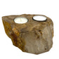 Polished Petrified Wood Candle Holder - Double featuring earthy woodgrain pattern and glossy finish - Positive Faith Hope Love