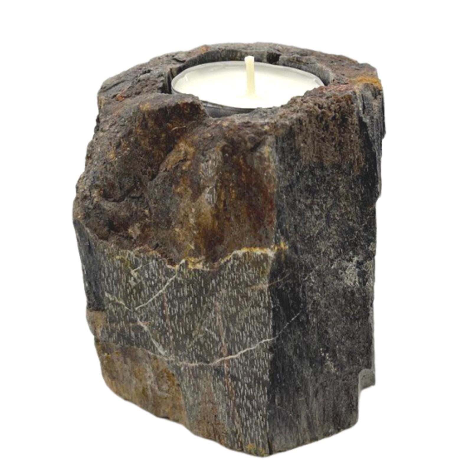 Polished Petrified Wood Candle Holder Single Low featuring earthy woodgrain pattern and glossy finish - Positive Faith Hope Love