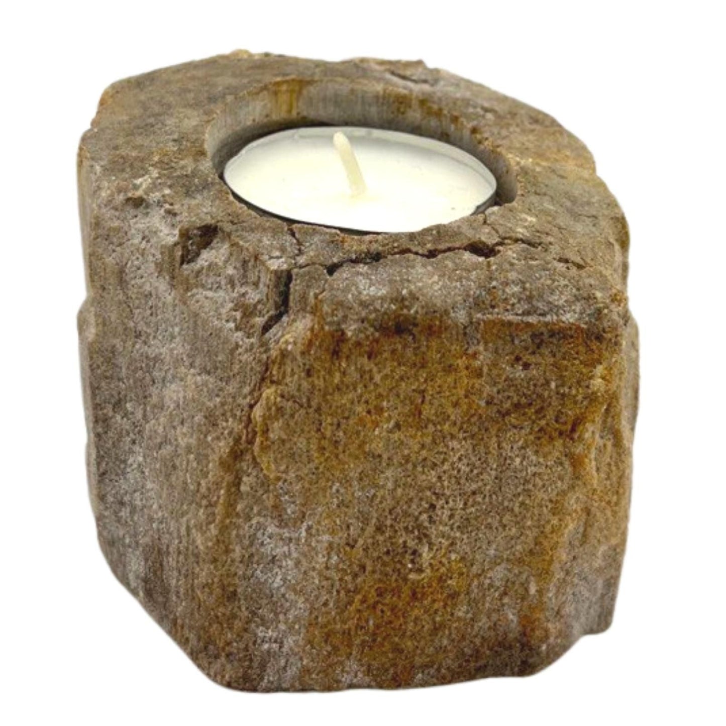 Polished Petrified Wood Candle Holder Single Low featuring earthy woodgrain pattern and glossy finish - Positive Faith Hope Love