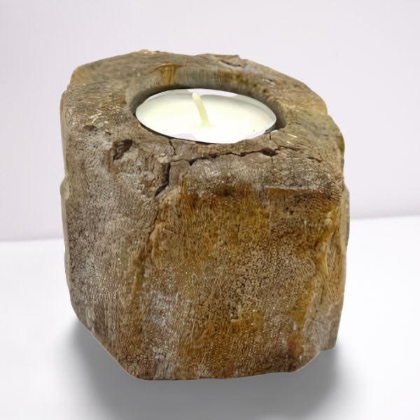 Polished Petrified Wood Candle Holder - Single Low featuring earthy woodgrain pattern and glossy finish - Positive Faith Hope Love