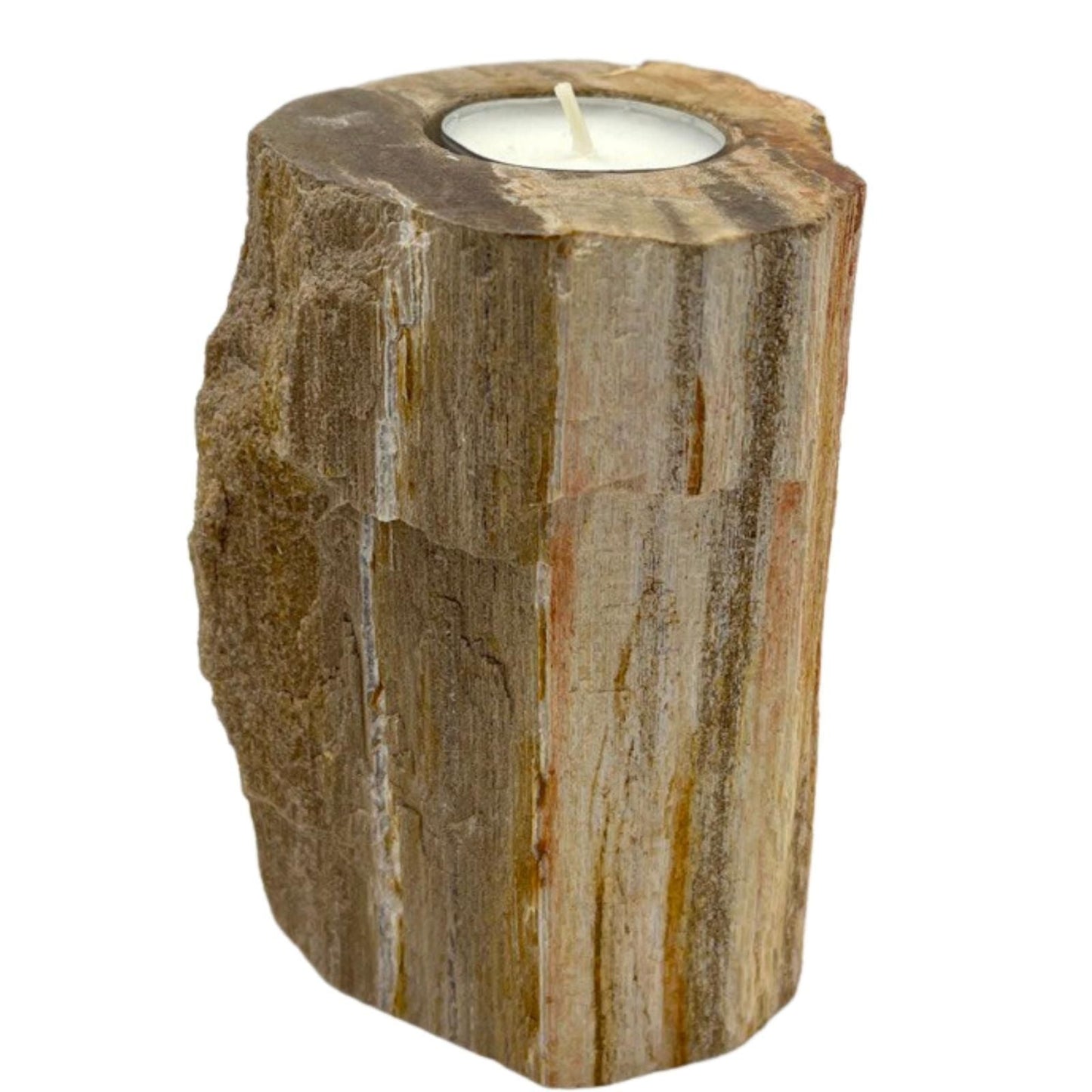 Polished Petrified Wood Candle Holder - Single Tall featuring earthy woodgrain pattern and glossy finish - Positive Faith Hope Love