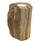 Polished Petrified Wood Candle Holder - Single Tall featuring earthy woodgrain pattern and glossy finish - Positive Faith Hope Love
