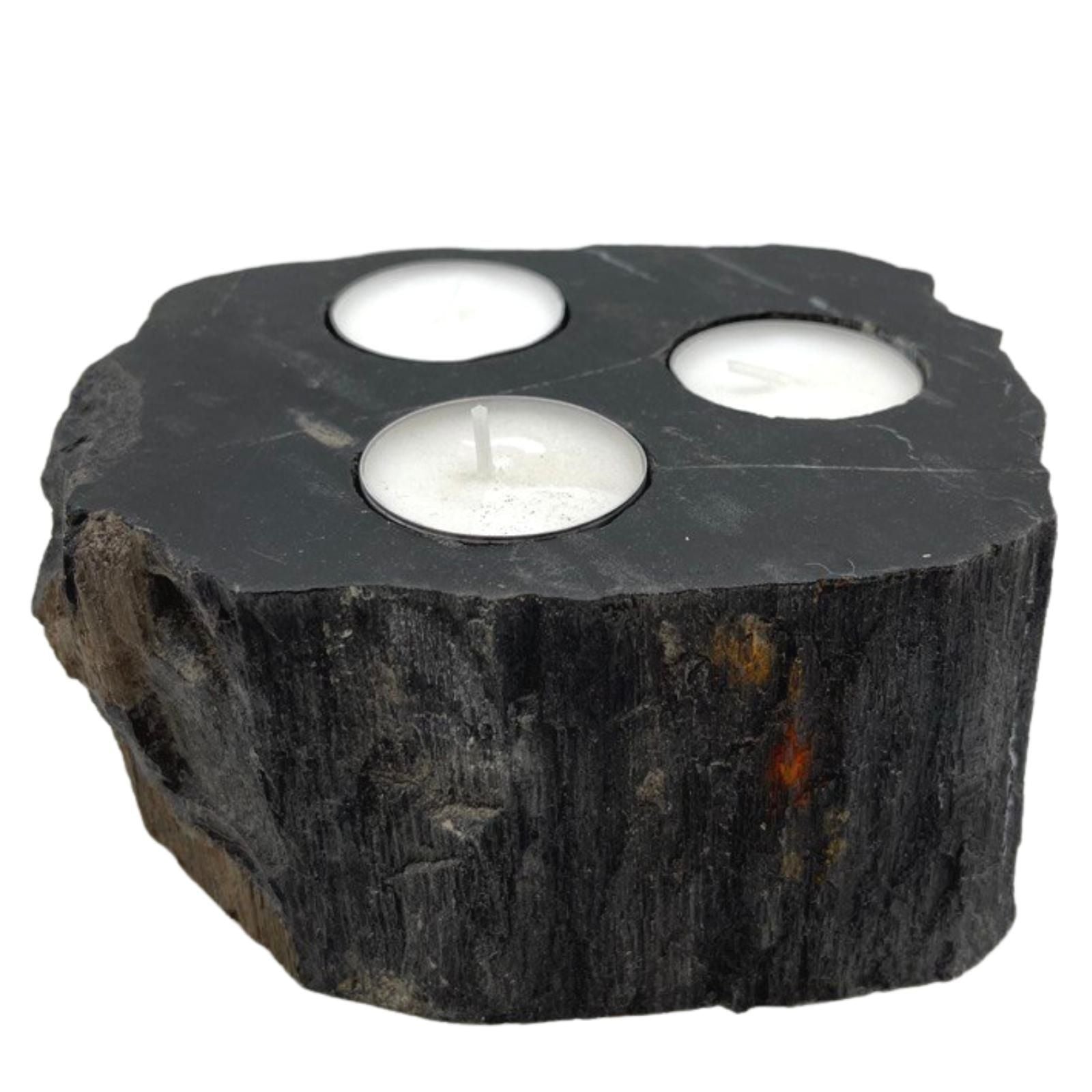 Polished Petrified Wood Candle Holder Triple featuring earthy woodgrain pattern and glossy finish - Positive Faith Hope Love