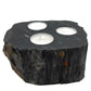 Polished Petrified Wood Candle Holder Triple featuring earthy woodgrain pattern and glossy finish - Positive Faith Hope Love