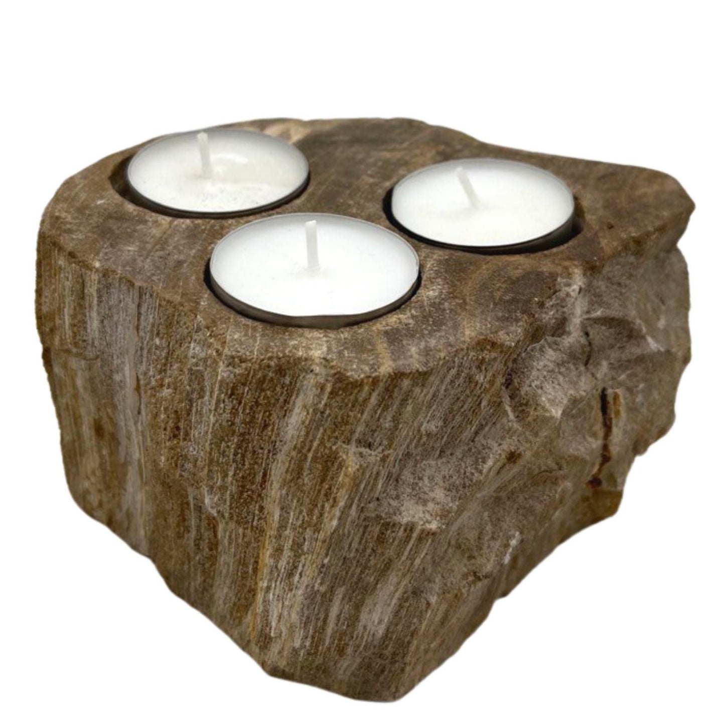 Polished Petrified Wood Candle Holder Triple featuring earthy woodgrain pattern and glossy finish - Positive Faith Hope Love