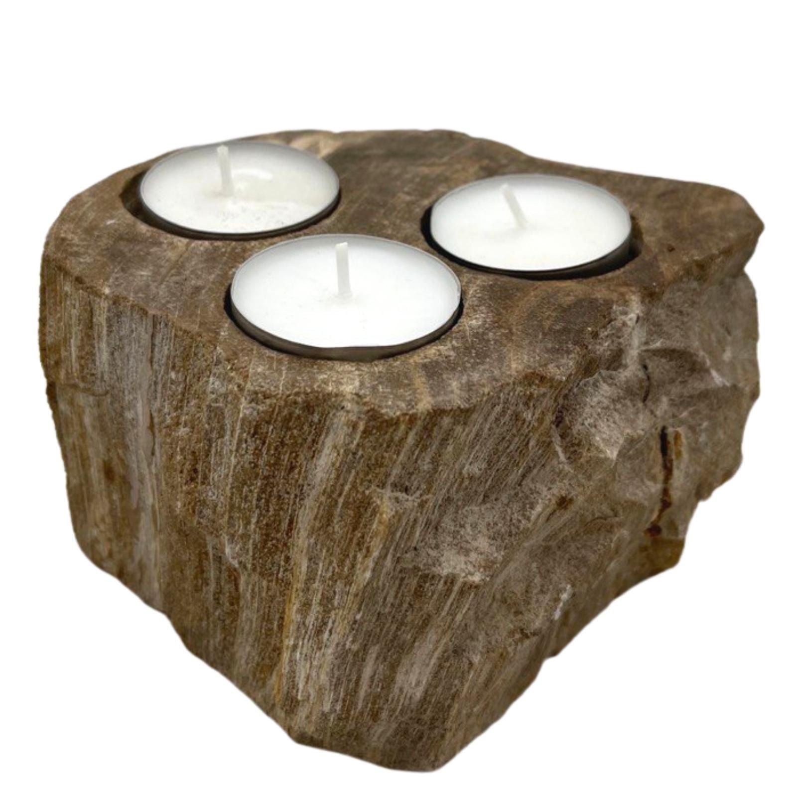 Polished Petrified Wood Candle Holder Triple featuring earthy woodgrain pattern and glossy finish - Positive Faith Hope Love
