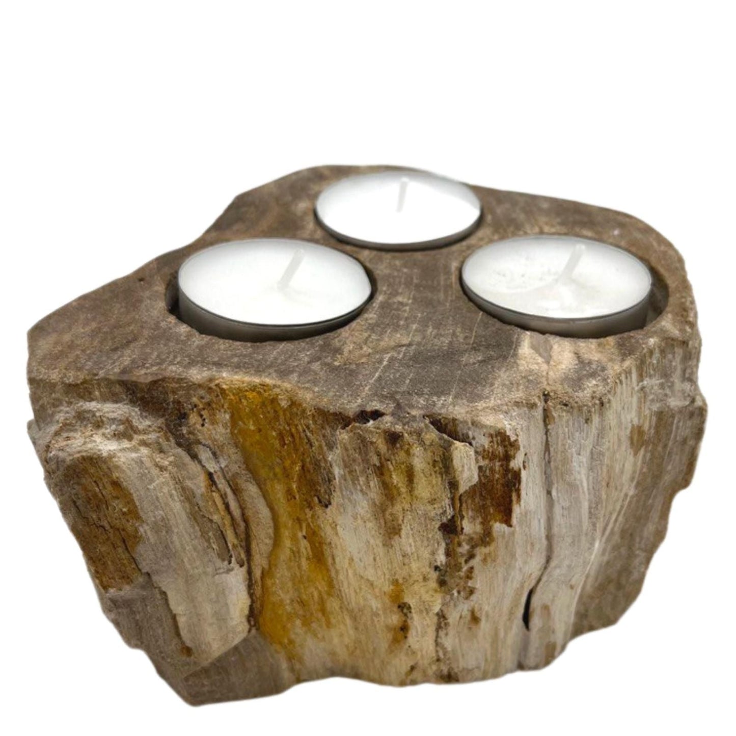 Polished Petrified Wood Candle Holder - Triple featuring earthy woodgrain pattern and glossy finish - Positive Faith Hope Love