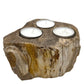 Polished Petrified Wood Candle Holder - Triple featuring earthy woodgrain pattern and glossy finish - Positive Faith Hope Love