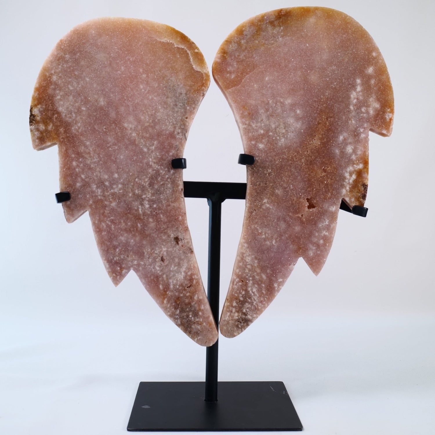 New Arrivals | Luna Panther