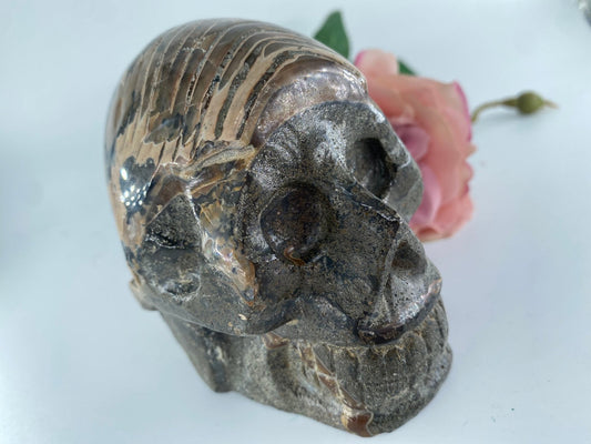 Polished Ammonite Opalised Nautilus Fossil Skull Carving 853g - Positive Faith Hope Love